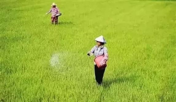 俄罗斯将延长化肥出口配额至2023年春季,供应巴西的化肥即将中断